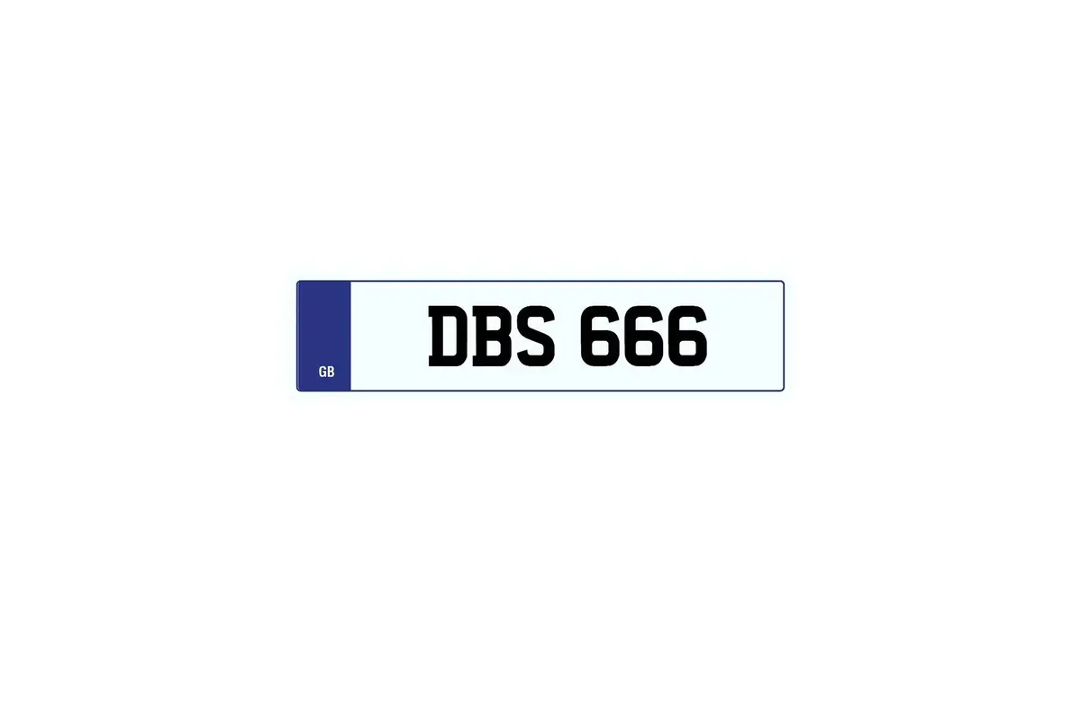 Private Plate Dbs 666 2