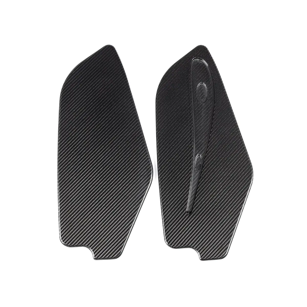 Carbon Fibre Wing End Plates 1