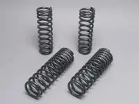Progress Technology Lowering Springs 92-00 Civic, 93-97 Del Sol, 94-01 Integra 1